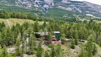 Een chalet omgeven door dicht bos, met een berg op de achtergrond.