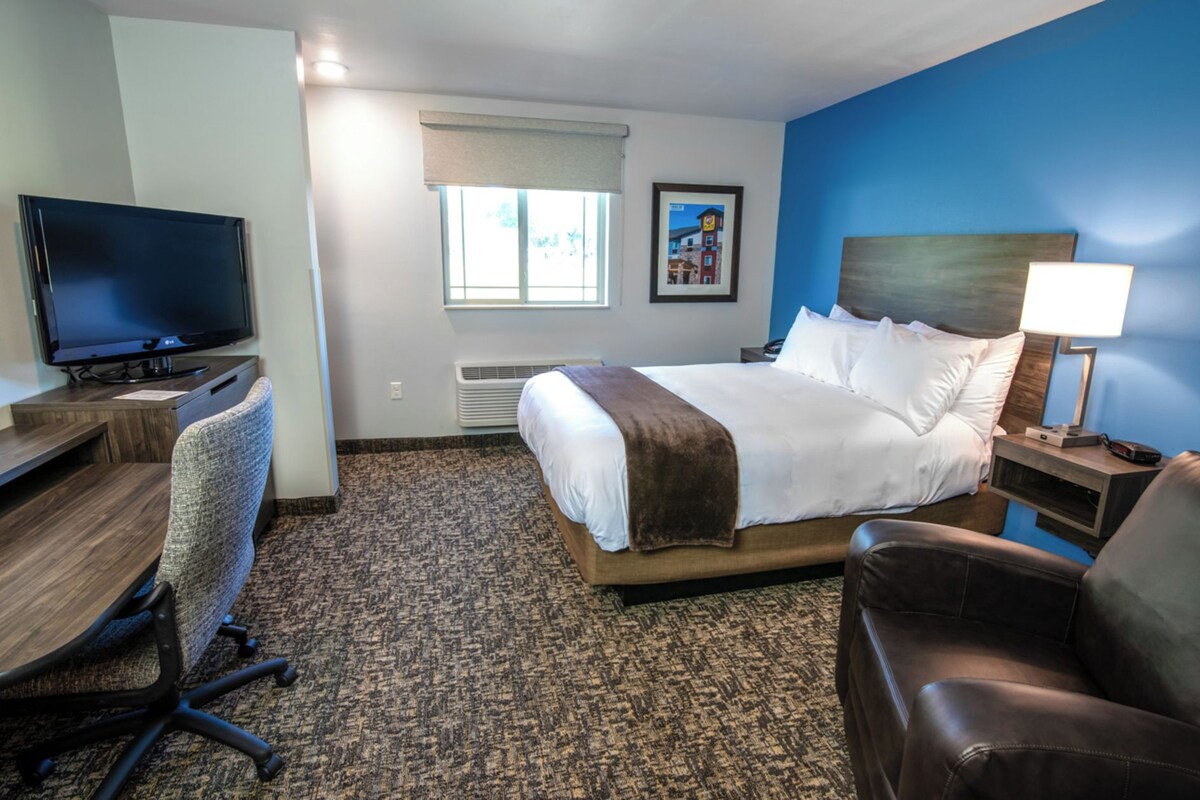 A hotel room with a bed, a desk with a TV, a chair, a bedside table with a lamp, and a window.