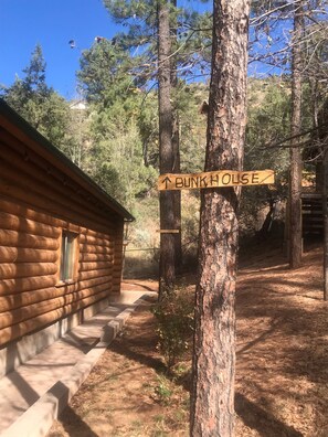 Escape to a cozy cabin nestled among the pine trees, surrounded by a serene forest environment.