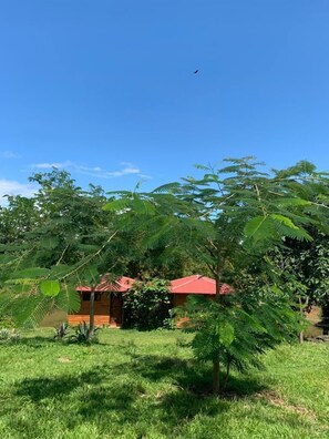 Garden - Villa Rodeo Lodge (La Tigra)