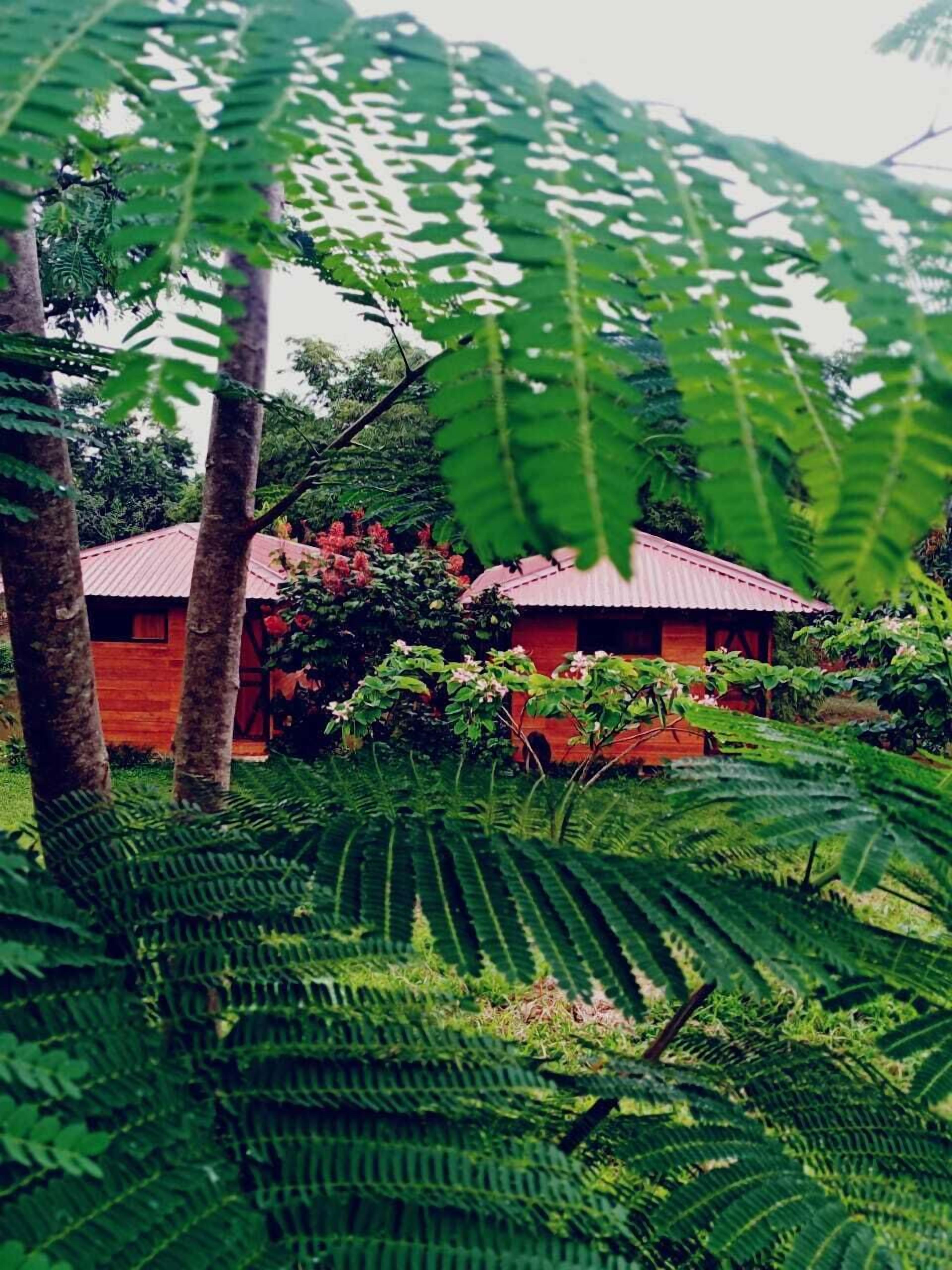 Petit déjeuner composé de spécialités régionales (5 USD par personne)