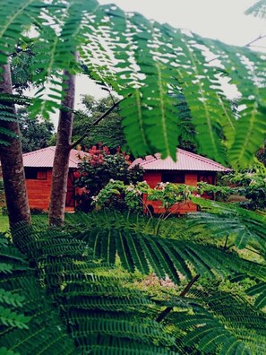 Daily local cuisine breakfast (USD 5 per person) - Villa Rodeo Lodge (La Tigra)