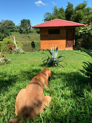 Basic-Ferienhütte | Kostenloses WLAN, Bettwäsche