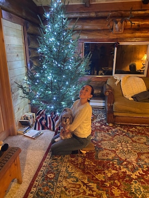 Cozy cabin-style room with a festive Christmas tree, plush carpet, and a comfortable bench.