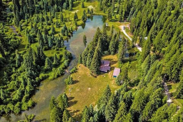 Aerial view of the cabin and yard.