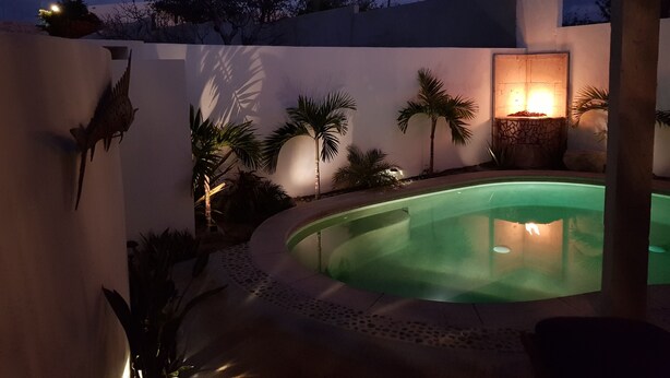 A swimming pool with a curved edge, surrounded by palm trees and a white wall. - Million Dollar View! (Cabo San Lucas)