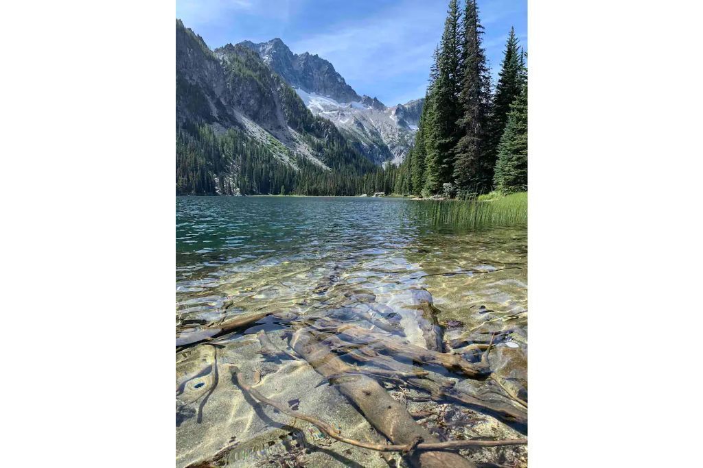 A clear lake with visible aquatic plants and a rocky shore.