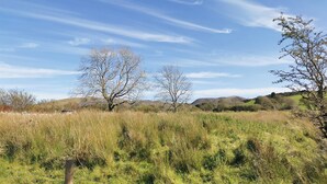 A natural landscape with trees, grass, and hills. - 2 bedroom accommodation in Carmel, near Caernarfon (Carmel, near Caernarfon)