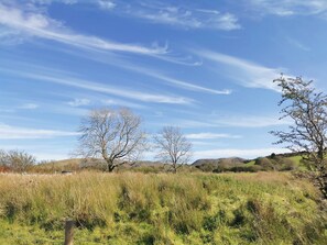 Een natuurlijk landschap met bomen, gras en heuvels.