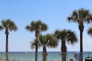 Ein Strand mit Palmen und blauem Himmel.