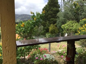 Property grounds - MY SHELTER CABIN (Boyacá)