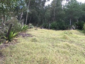 Property grounds - MY SHELTER CABIN (Boyacá)