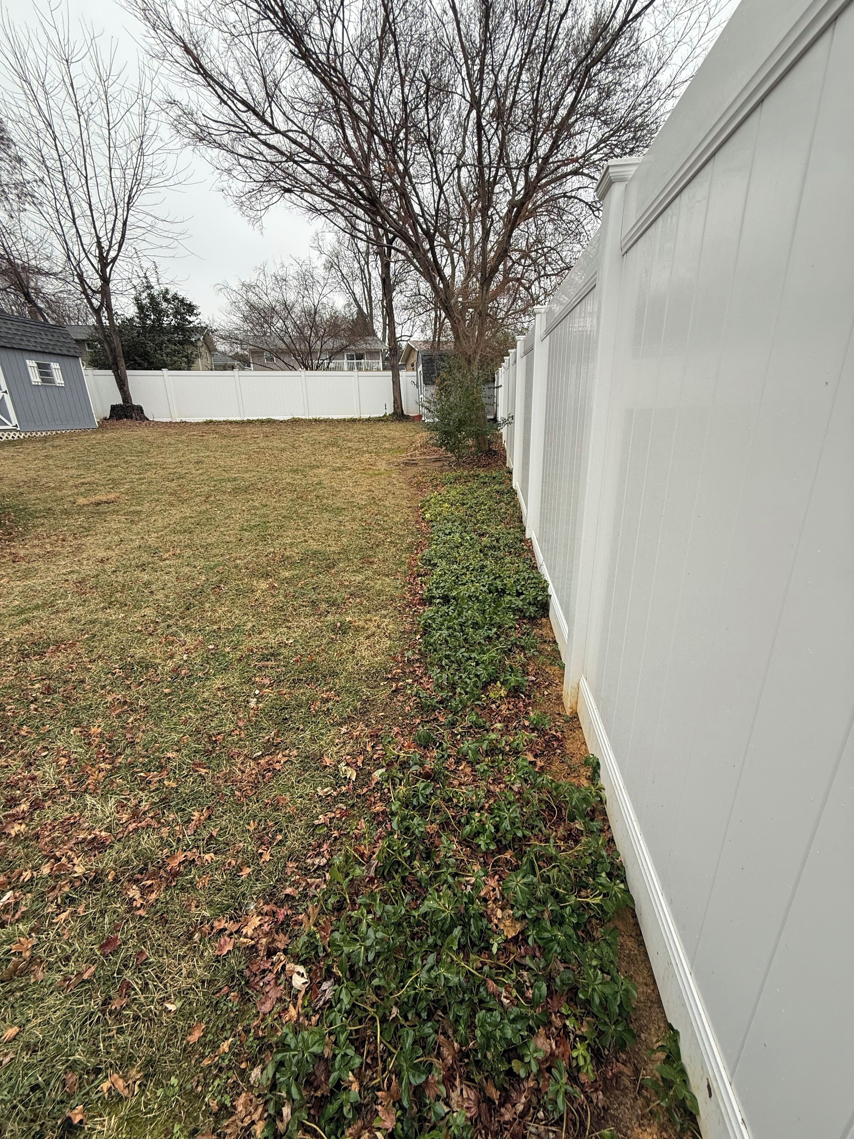 Un jardin avec une clôture blanche, un petit arbre et un abri de jardin.