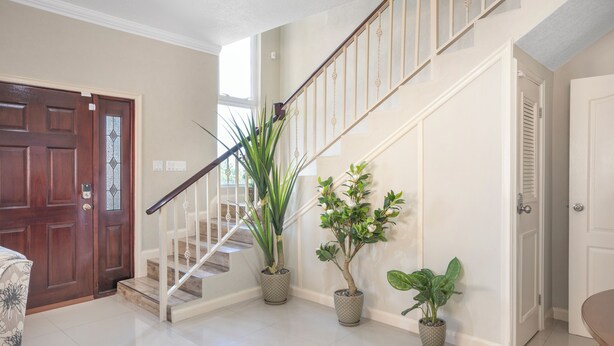 Un pasillo limpio y bien iluminado con puerta de madera, escalera y plantas en macetas.
