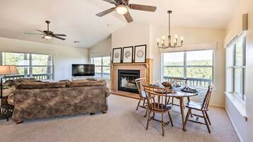 電視、壁爐、DVD 播放機、書籍