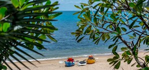 A beach with kayaks and a paddleboard, surrounded by greenery.