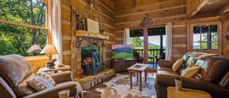 Smart TV, fireplace, DVD player, books