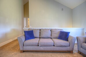 TV, fireplace, books, video library