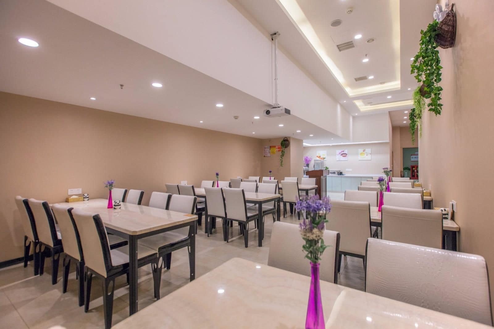 A restaurant with multiple tables and chairs, a counter area, and ceiling-mounted lights.