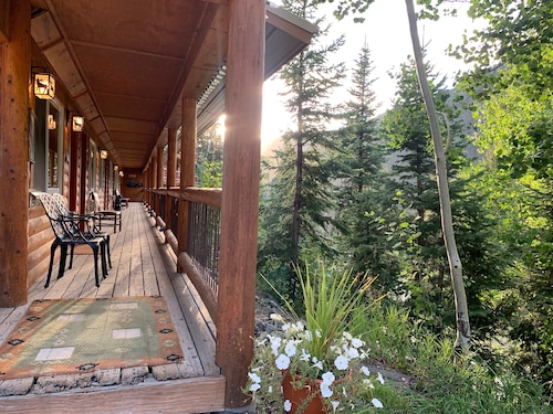 A Wilderness Perch in the Pines
