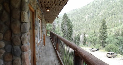 A Wilderness Perch in the Pines