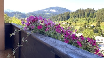 Apartment, eigenes Bad, Bergblick | Blick vom Balkon
