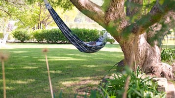 A hammock hanging from a tree in a grassy area with a clear sky.