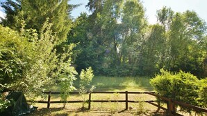 Un'area esterna recintata, con alberi fitti e un prato erboso.