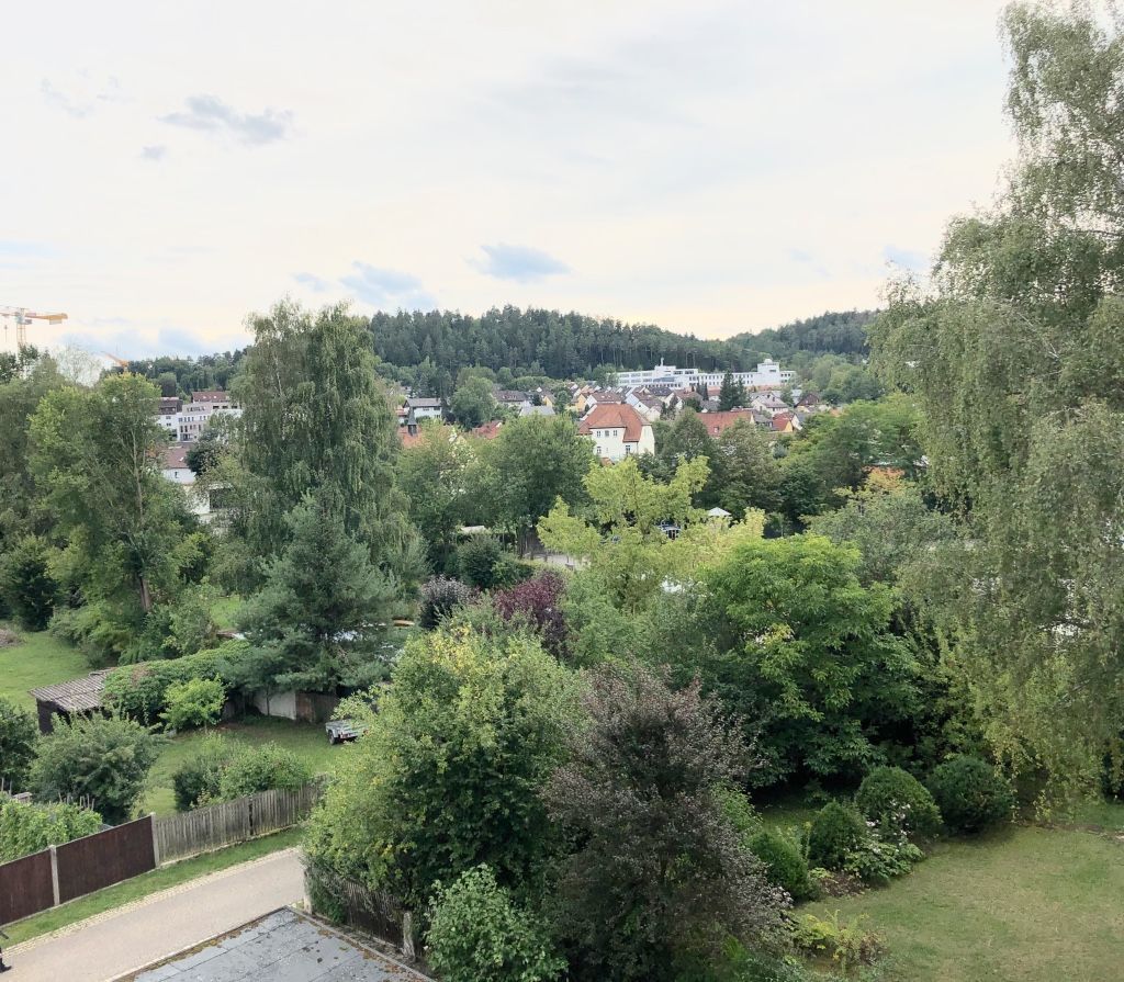 A residential area with houses, trees, and a distant hill.