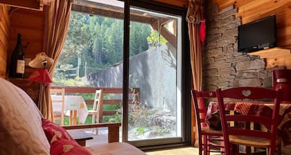 Appartement cosy style montagne, Pra-Loup, 4-6 pers