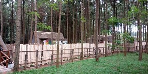 View from room - Nyungu Yamawe Forest Park (Kitukutwe)