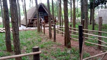 Premium bedding, in-room safe, individually decorated
