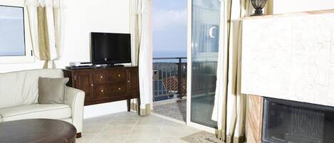 TV, fireplace, books, stereo