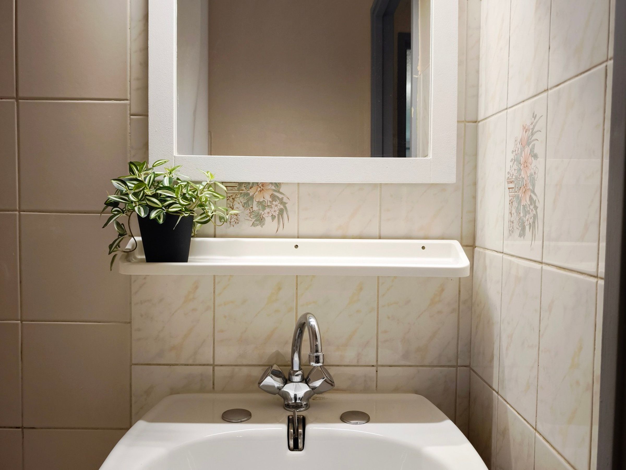 A bathroom with a white sink, a mirror above it, and a potted plant on the sink's edge.