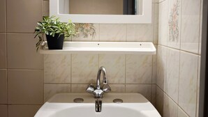 A bathroom with a white sink, a mirror above it, and a potted plant on the sink's edge.