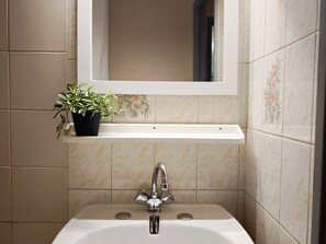 A bathroom with a white sink, a mirror above it, and a potted plant on the sink's edge.