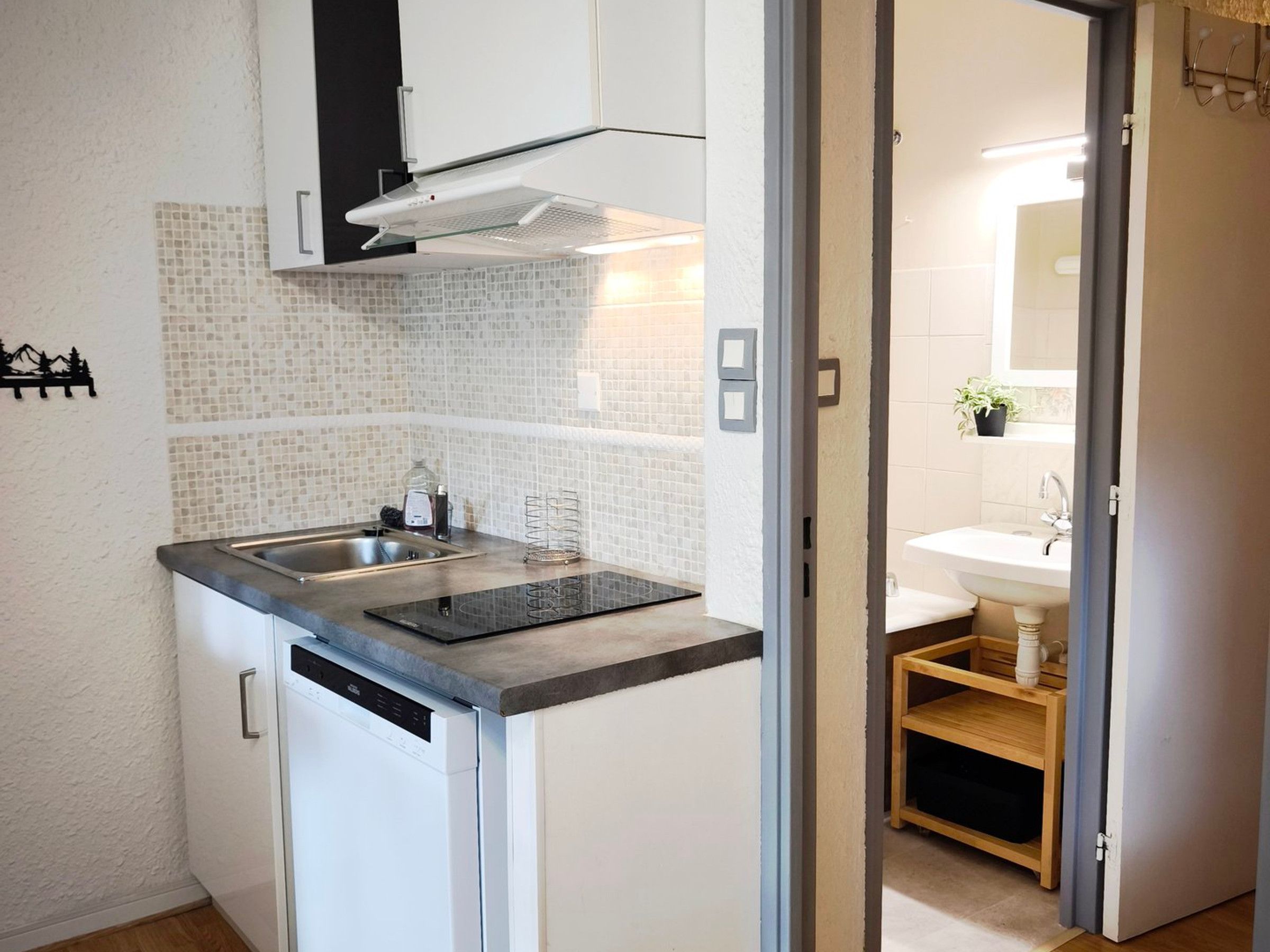 A compact kitchen with a built-in dishwasher, a stainless steel sink, and a tiled backsplash.