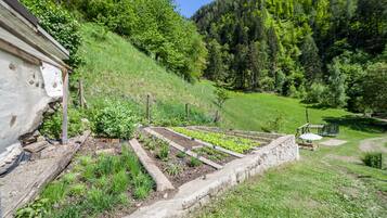 Áreas de la propiedad