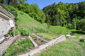 Property grounds - Apartment “Schildhofsuite” in “Schildhof Ebion” with Mountain View & Garden (St. Leonhard Passeier)