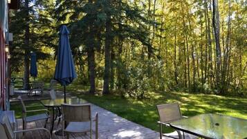 Superior Single Room | Terrace/patio