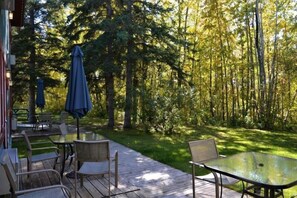 Habitación individual superior | Terraza o patio