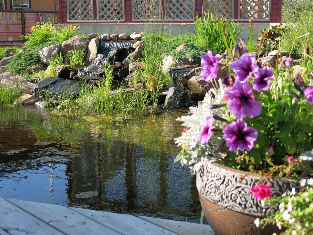 園景