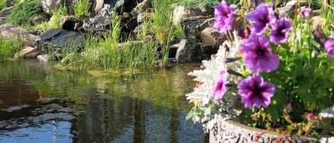 園景