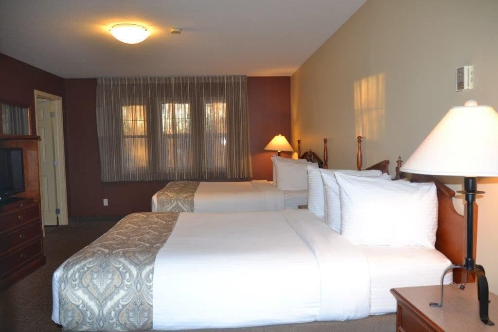 standard double room | free wifi