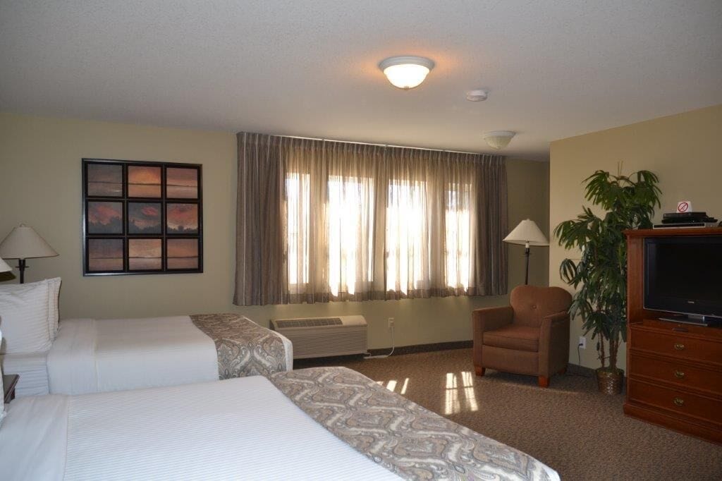 standard double room | free wifi