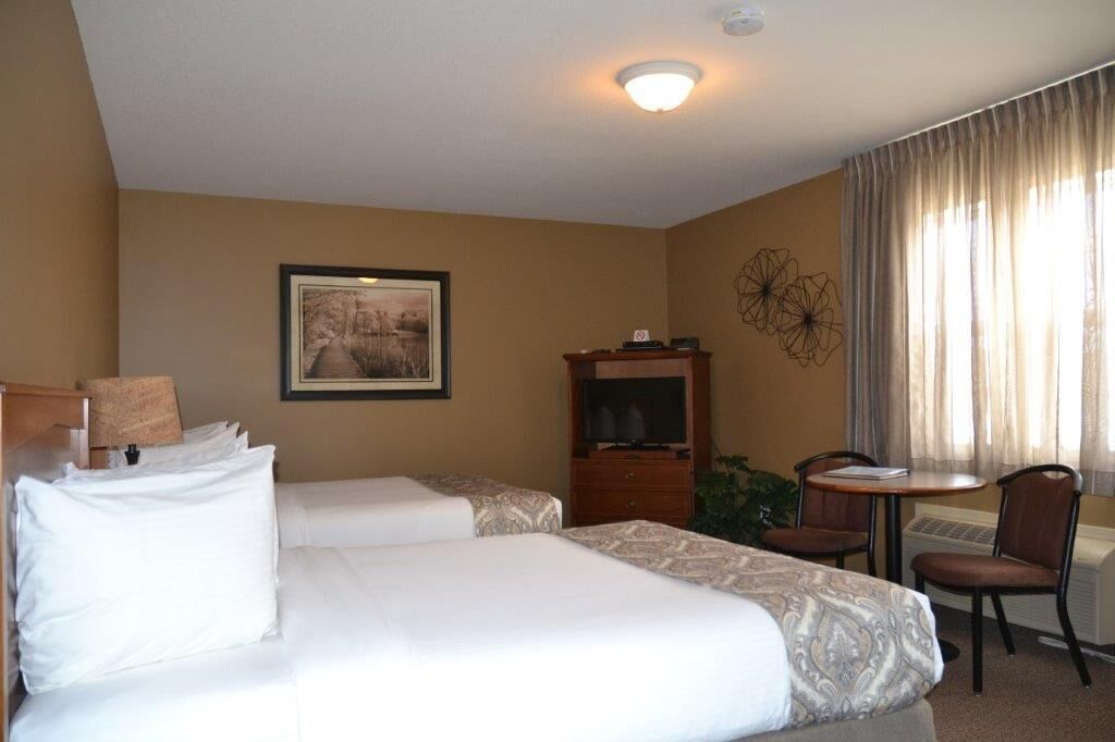 standard double room | free wifi