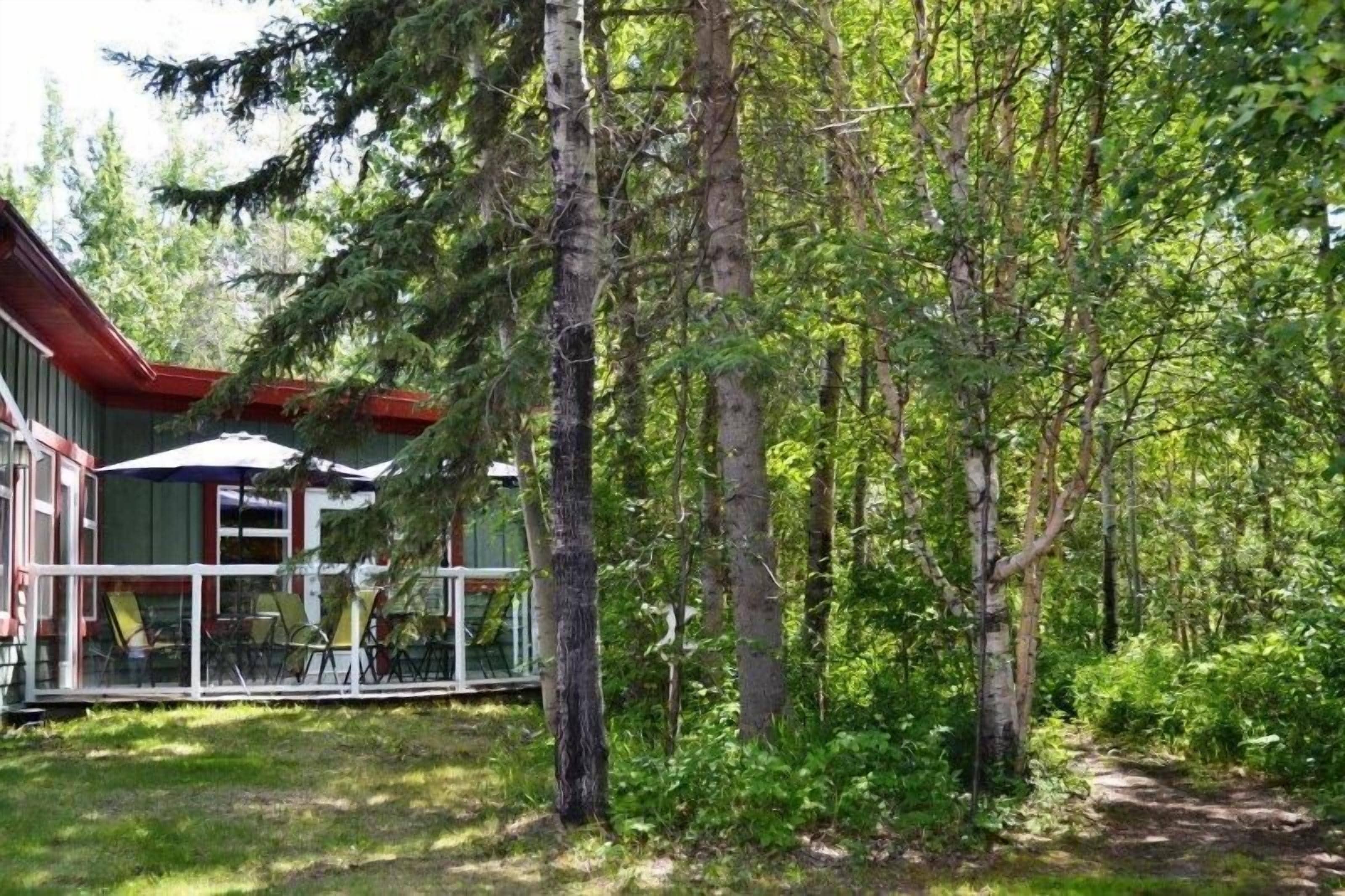 superior single room | garden view