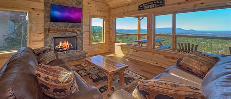 TV, fireplace, video games, DVD player