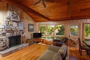 Fireplace, books