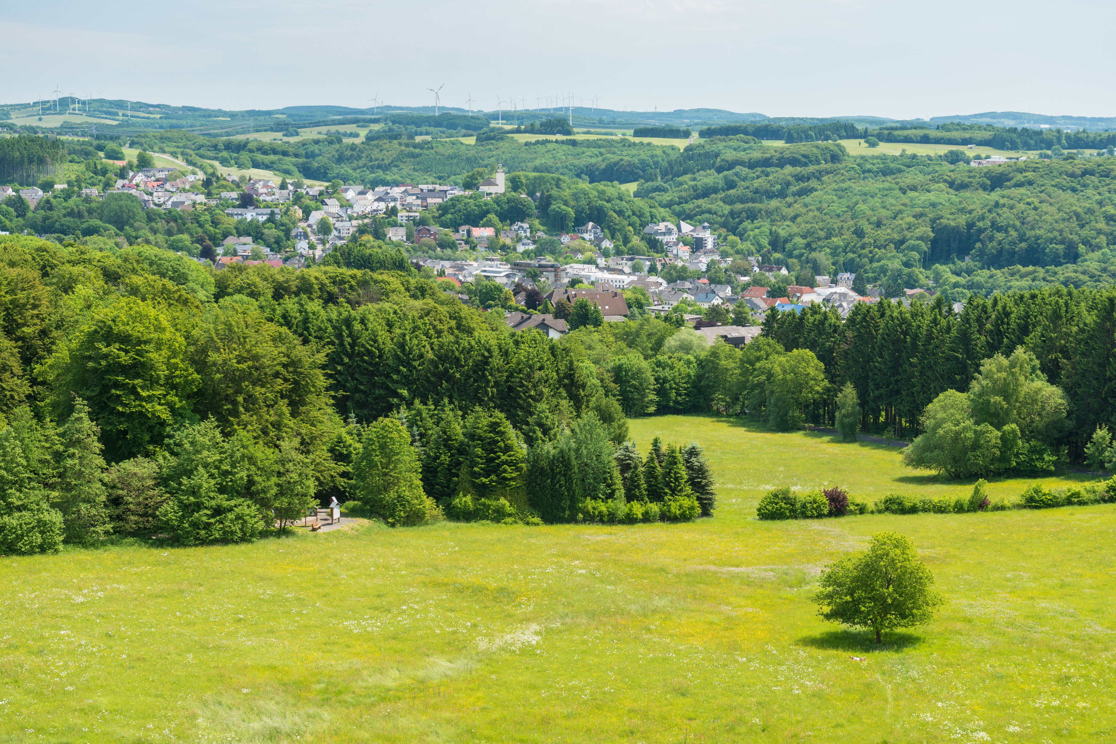 Un paysage rural avec un village niché au milieu de champs verdoyants et d’arbres.